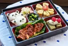 japanese bento box lunch ideas for school