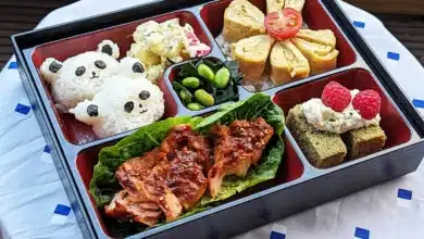 japanese bento box lunch ideas for school
